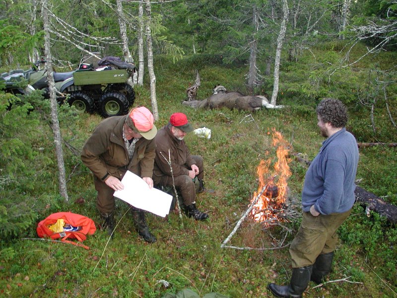2004 Kaffe ved ku 160kg_2.jpg - Før vi kjørte fram kviga, ble det kaffekok fed fallet